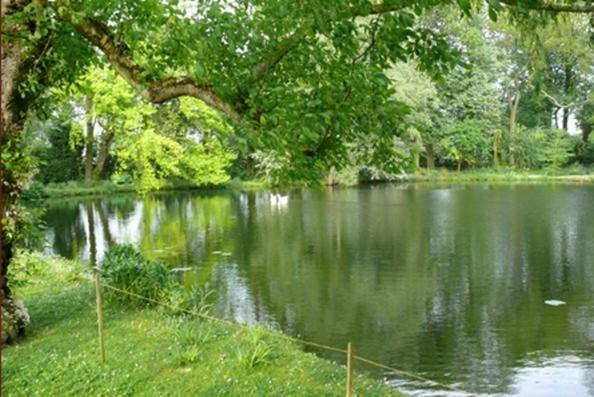 Saint-Venant Manoir De La Peylouse Bed & Breakfast エクステリア 写真