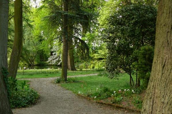 Saint-Venant Manoir De La Peylouse Bed & Breakfast エクステリア 写真